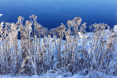 Peyzaj çim in rime'ı ile