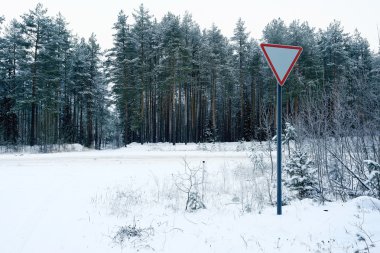 karlı bir ormanda kış yol