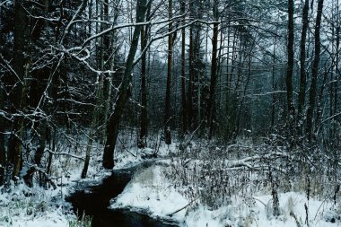 Soğuk kışın karlı Köyü