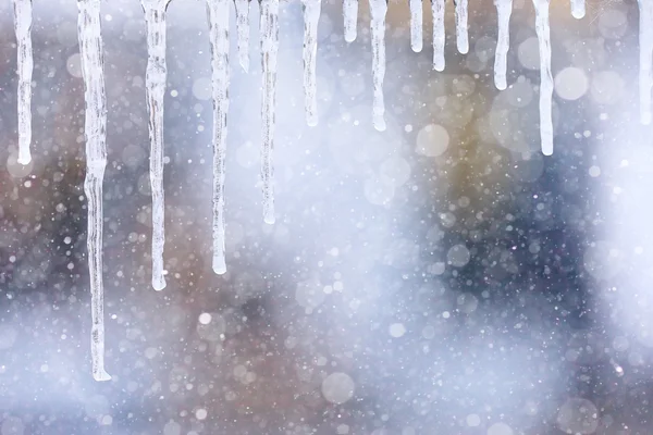 Transparent frozen icicles — Stock Photo, Image