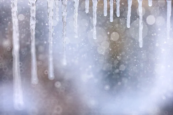 Transparent frozen icicles — Stock Photo, Image