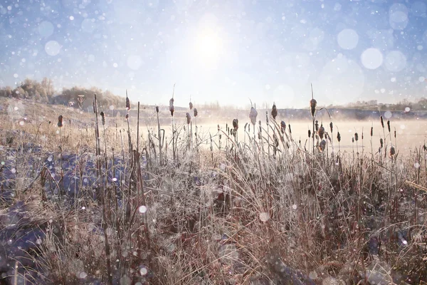 Зимовий пейзаж поля — стокове фото