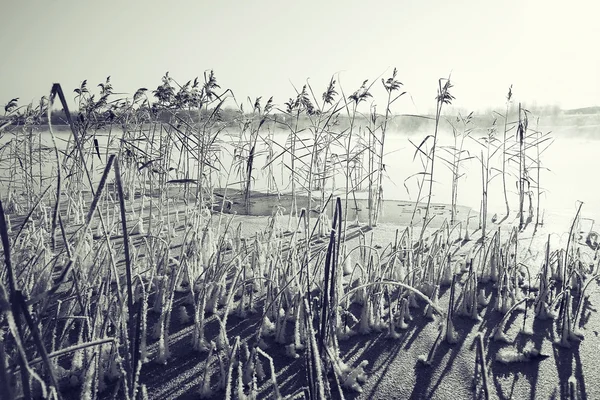 Froid couvert d'herbe sèche, paysage monochrome — Photo