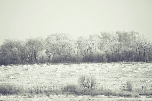 Invierno heladas naturaleza — Foto de Stock