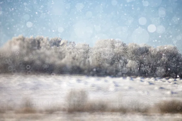 Paisagem campo de inverno — Fotografia de Stock