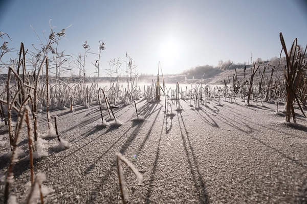 Champ d'hiver paysage — Photo