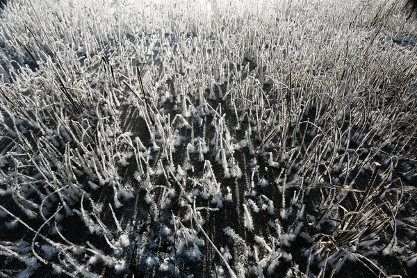 Cold winter day outdoor — Stock Photo, Image