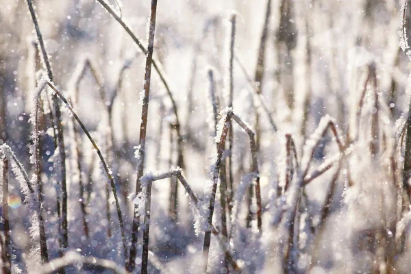 Текстура кристаллов льда — стоковое фото