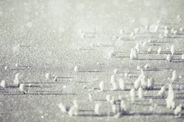 Rime textura de nieve — Foto de Stock