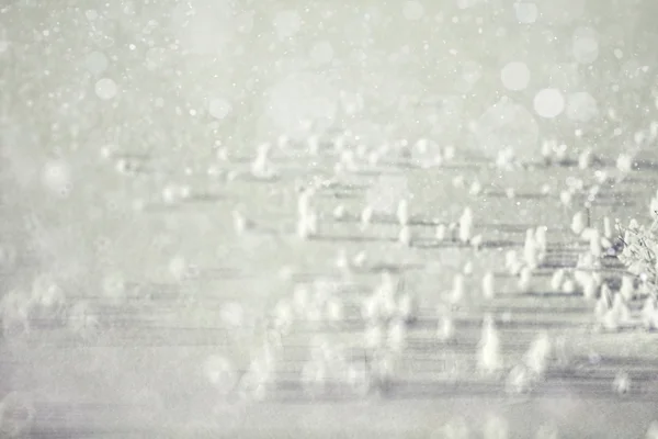 Rime snow texture — Stock Photo, Image