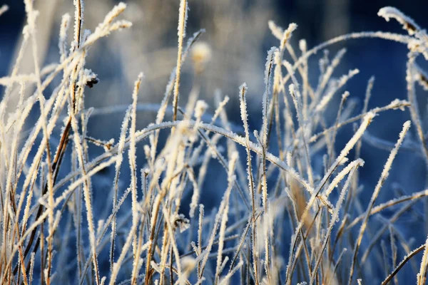 Rimfrost snö textur — Stockfoto