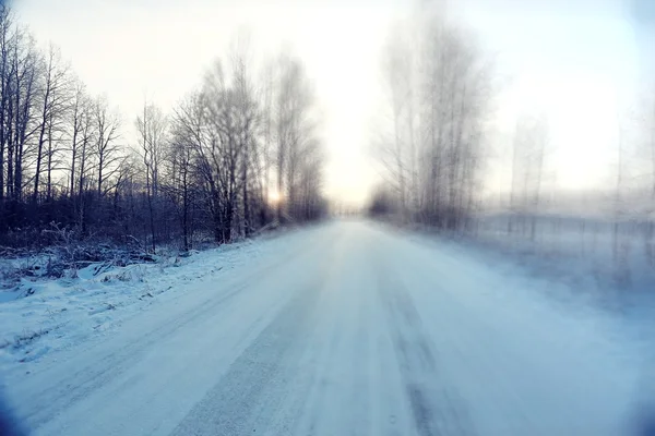 Karlı bir ormanda kış yol — Stok fotoğraf