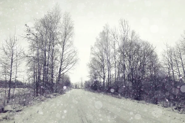 Winter besneeuwde weg in bos — Stockfoto