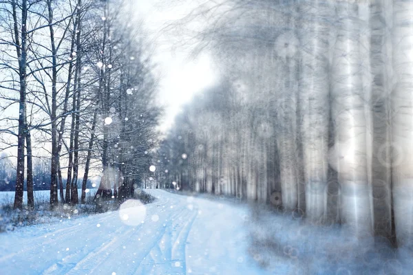 Snöfall i vinterskogen — Stockfoto