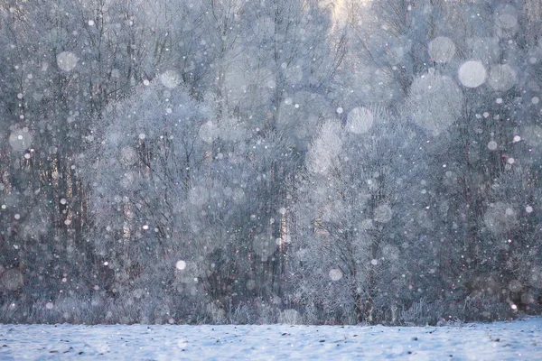 Nieve brillante brillante —  Fotos de Stock
