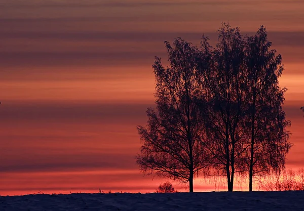 Kleurrijke zonsondergang in de winter — Stockfoto