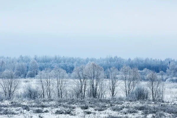 Frio nevado Inverno na aldeia — Fotografia de Stock