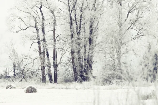 Snöig kall vinter i byn — Stockfoto