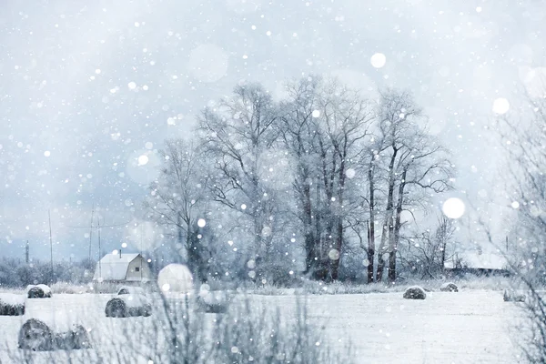 Frio nevado Inverno na aldeia — Fotografia de Stock