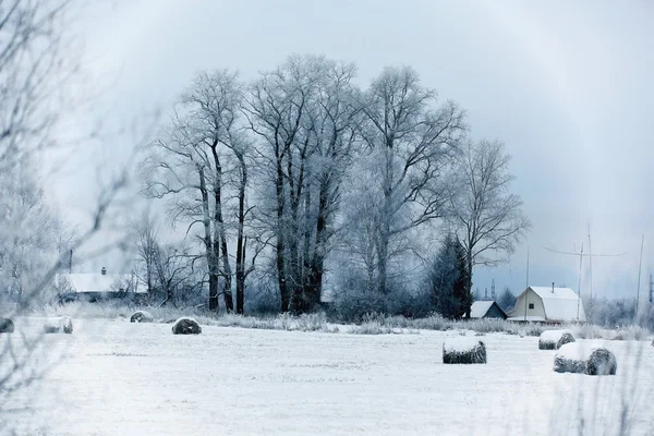 Снежная холодная зима — стоковое фото