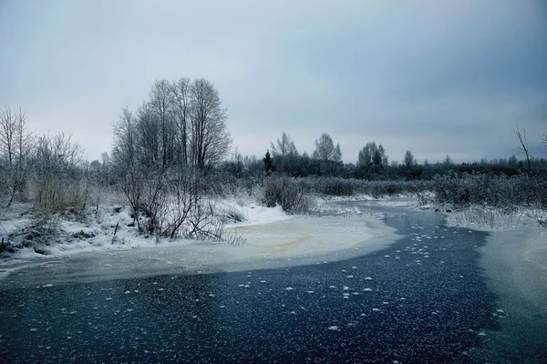 Zasněžená zima v lese — Stock fotografie