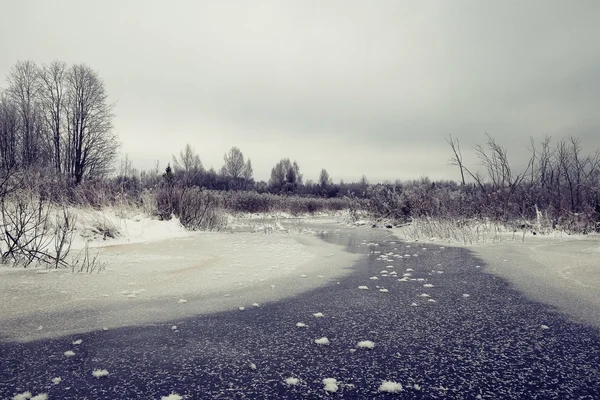 Bevroren creek in het bos — Stockfoto