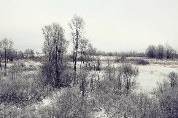 Schneereicher kalter Winter im Dorf — Stockfoto