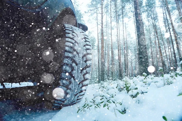 Begreppet vinter bilturen — Stockfoto