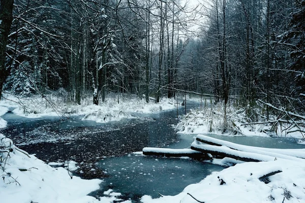 Ruisseau gelé dans la forêt — Photo