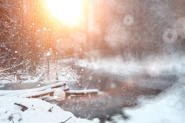 Queda de neve na floresta de inverno — Fotografia de Stock