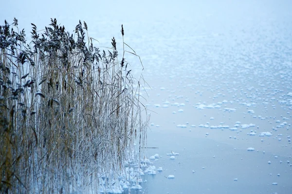 Donmuş göl güneşli — Stok fotoğraf