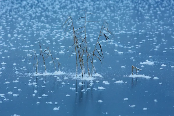 Lago congelado no dia ensolarado — Fotografia de Stock