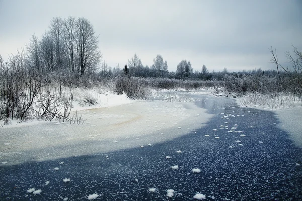 Frozen creek in the forest Royalty Free Stock Images