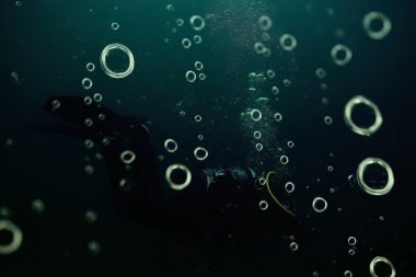 Gölü sualtı dünyası