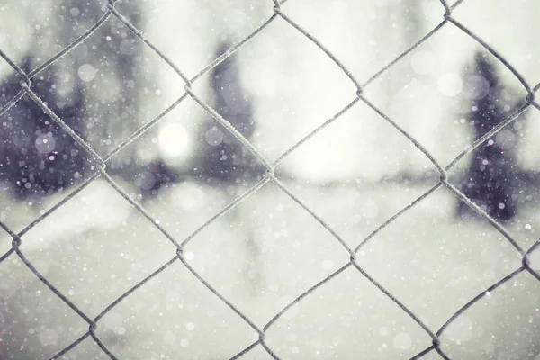 Metal Rabitz and winter blurred landscape — Stock Photo, Image