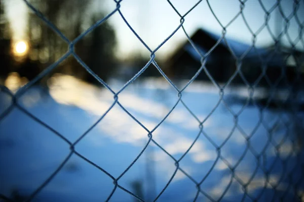 Metalen Rabitz en winter landschap wazig — Stockfoto