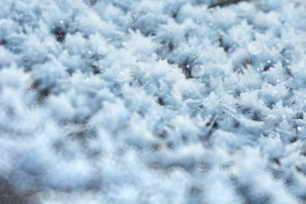 Textura de neve rime — Fotografia de Stock