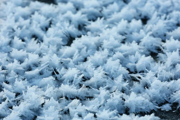 Textura de neve rime — Fotografia de Stock