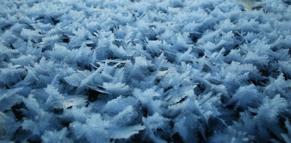 Textura de neve rime — Fotografia de Stock