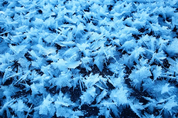 Rime snow texture — Stock Photo, Image