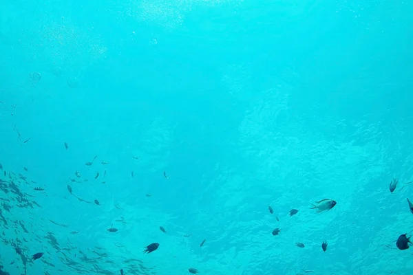 海水的质地 — 图库照片