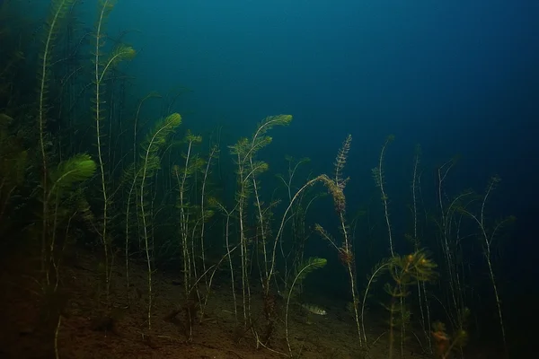 Lago Mondo subacqueo — Foto Stock