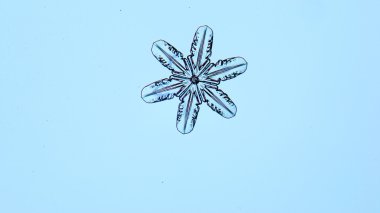 doğal kristal kar tanesi