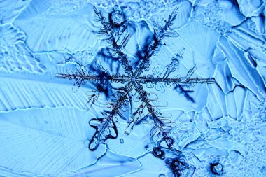 doğal kristal kar tanesi