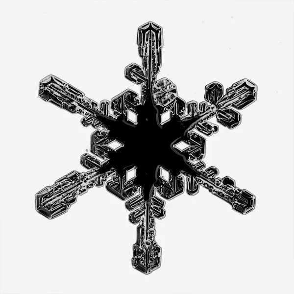 Beautiful black Snowflake — Stock Photo, Image