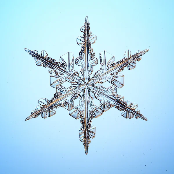 Flocon de neige cristal naturel — Photo