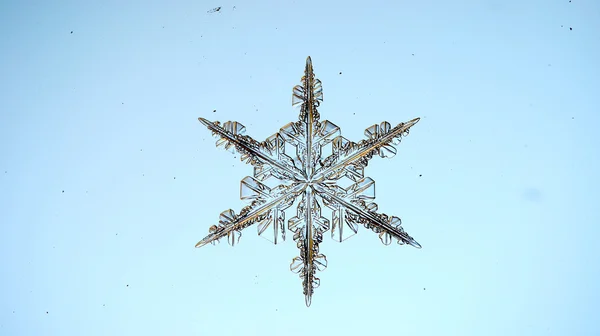 Natürliche Kristallschneeflocke — Stockfoto