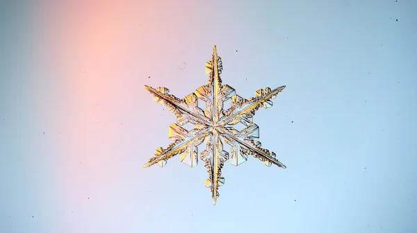 Naturliga crystal snowflake — Stockfoto