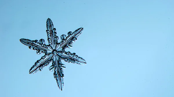 Floco de neve de cristal natural — Fotografia de Stock