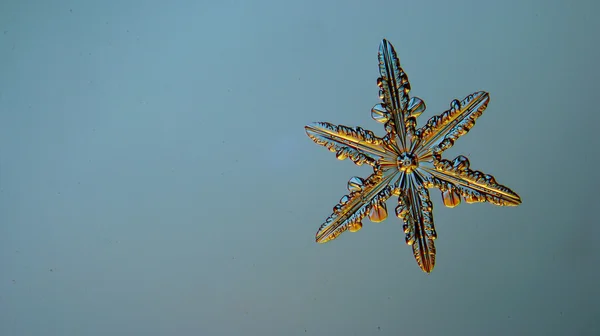 Natural crystal snowflake — Stock Photo, Image